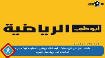 شاهد الآن على نايل سات.. تردد قناة أبوظبي المفتوحة لبث مباراة توتنهام ضد نيوكاسل الودية